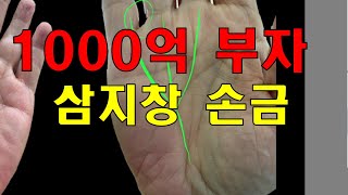 #삼지창손금 #부자손금 #손금보는방법