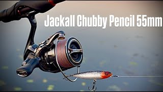 :      Ĳ|ϲ  Jackall Chubby Pencil 55mm