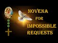 Novena for Impossible Requests for “Miraculous Outcomes” - Pray for 9 Days