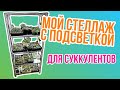 Мой стеллаж с подсветкой для суккулентов 🌿