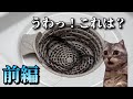 家のお風呂で起きた怖い話 前編 #猫ミーム #ホラー #怖い話