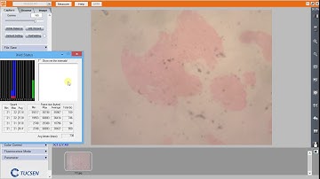 Video Recording in TUCSEN Camera Software