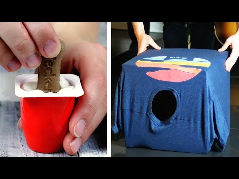 Video: Divertido juguete de calcetines de cera de bricolaje para cachorros!
