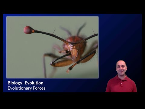 K-Bio Evolution 4: Evolutionary Forces