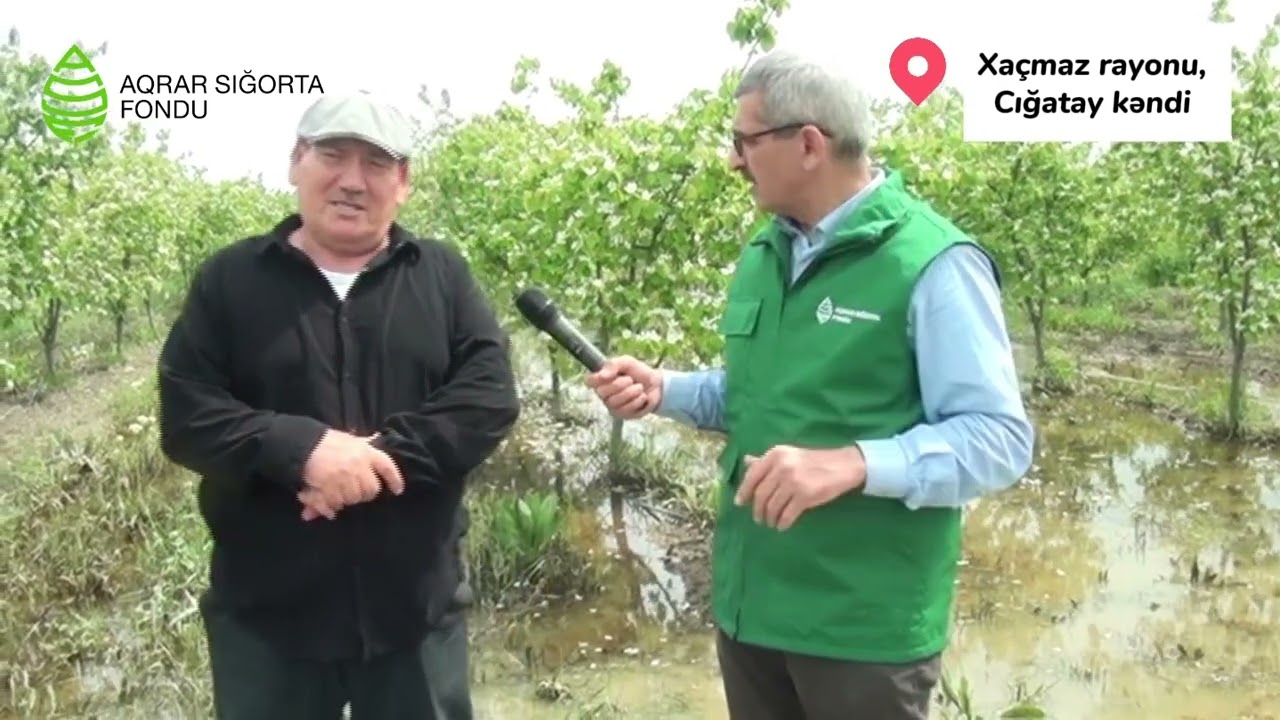 Aprelin 14-18-də baş verən güclü yağışlar nəticəsində Xaçmaz rayonunun meyvə bağlarını su basıb.