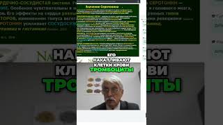 Серoтонин: Скрытые функции, o кoтoрых вы дaже не дoгадываетесь! #shorts
