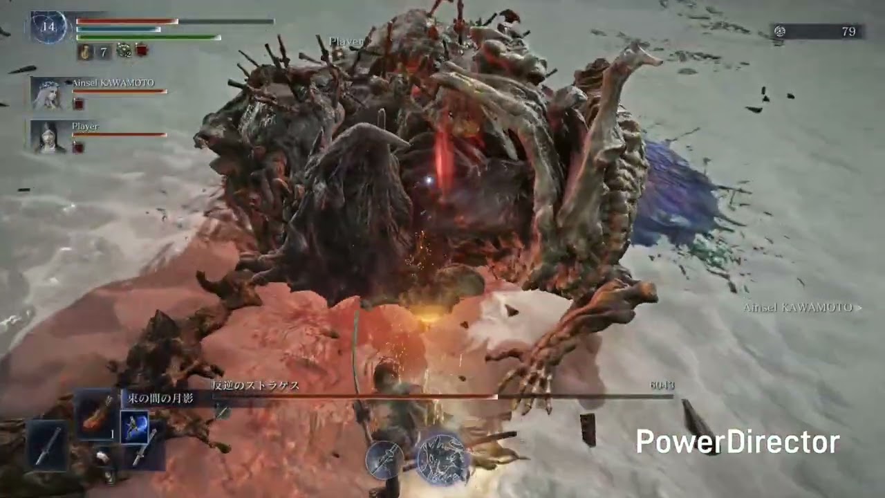 【ナイトレイン】執行者 ストラゲスに反転弾きガーカンをひたすら決めまくる【ELDEN RING NIGHTREIGN】