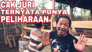 VLOG || TERNYATA CAK JURI MELIHARA JARAN GESS