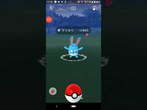 マリルリ ポケモンgo Youtube