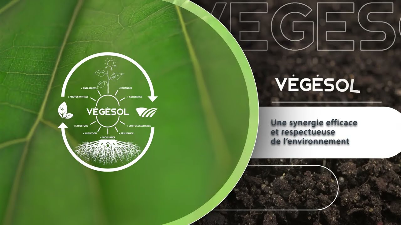 Programme VÉGÉSOL de BIO3G