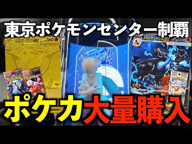 スプラトゥーン ポケモン ALL STAR Z HI / Splatoon3 / オールスター Z HI ／ スプラ