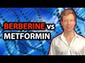 Berberine vs Metformin | Crucial Differences 2022