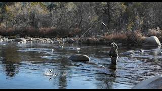 Incredible Fishing Moments on the Kern River 2