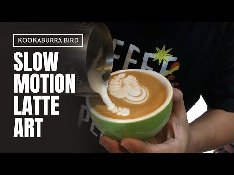 SLOW MOTION LATTE ART | KOOKABURRA