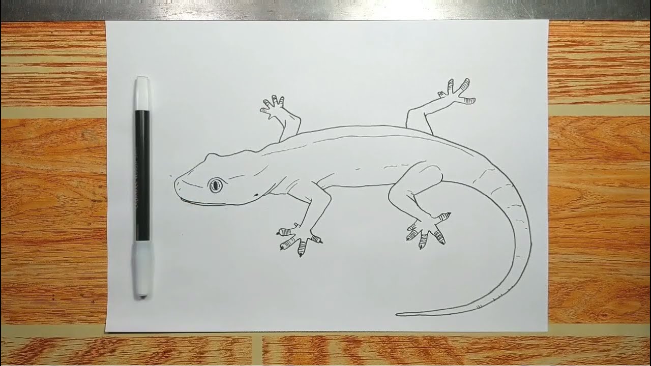 lizard sketch — Steemit