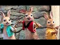 Hit Below the Belt | Peter Rabbit | Clip