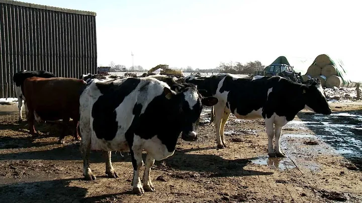 COMTESS - Sustainable coastal land management: Trade-offs in ecosystem services