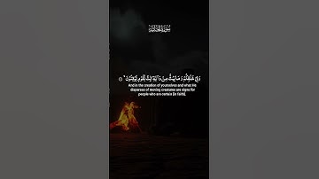 سورة الجاثية #قرآن #قران_كريم #quran #صلوا_على_النبي