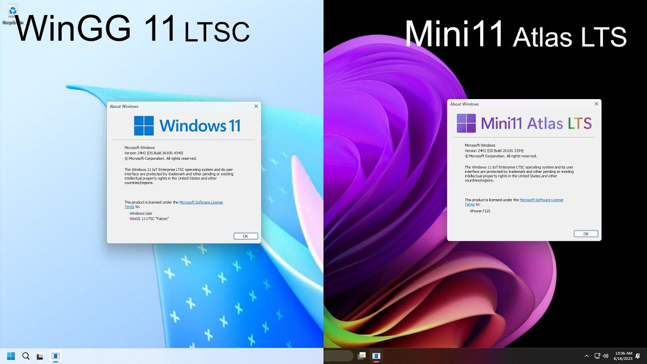 WinGG 11 LTSC VS Mini11 Atlas LTS: Which One is Better