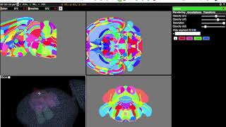 Point cloud in Neuroglancer 1