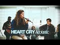 Seu worship  heart cry acoustic