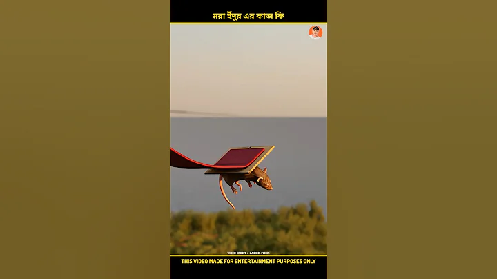 Why Mice With Parachutes Were Dropped 🤔 #shorts #ytshorts #factsshortsfeed