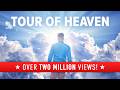 Man shocked by what he saw his pets doing in heaven  near death experience  nde