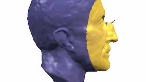 Mixed Finite Elements for Variational Surface Modeling: Exaggerating Max Planck