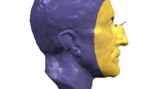 Mixed Finite Elements for Variational Surface Modeling: Exaggerating Max Planck's nose