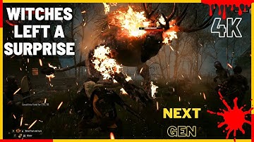 Witcher 3: Wild Hunt - Return to Crookback Bog | Walkthrough [4K] E27