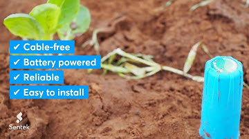 Drill & Drop Bluetooth, Soil Moisture Probe