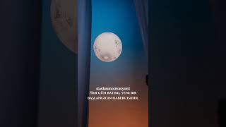 Her Gün Batımı, Yeni Bir Başlangıcın Habercisidir Aslan Motivasyon