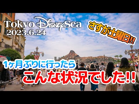 東京ディズニーシー 2023.6.24の様子  /  Today’s Tokyo DisneySea on June 24th 2023