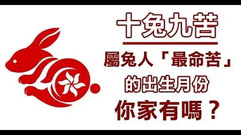 十二生肖兔: 十兔九苦，屬兔人「最命苦」的出生月份，你家有嗎？ - 天天要聞