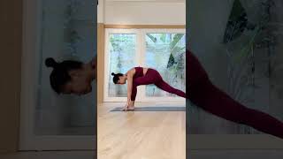 Paso adelante desde adho mukha svanasana: diferentes niveles