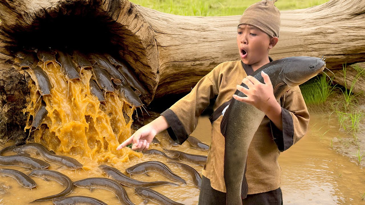 Harvesting a giant school of catfish in the swamp, bringing them to market for sale| 30 days of fish