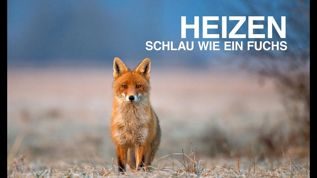 Heizen Schlau wie ein Fuchs mit Erdwärme YouTube