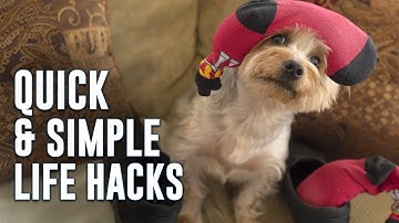 5 Quick & Simple Life Hacks