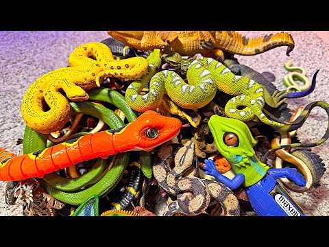 200 Reptiles Toys - Iguana, Cobra, Chameleon, Alligator, Crocodile, Komodo Dragon, Thorny Dragon
