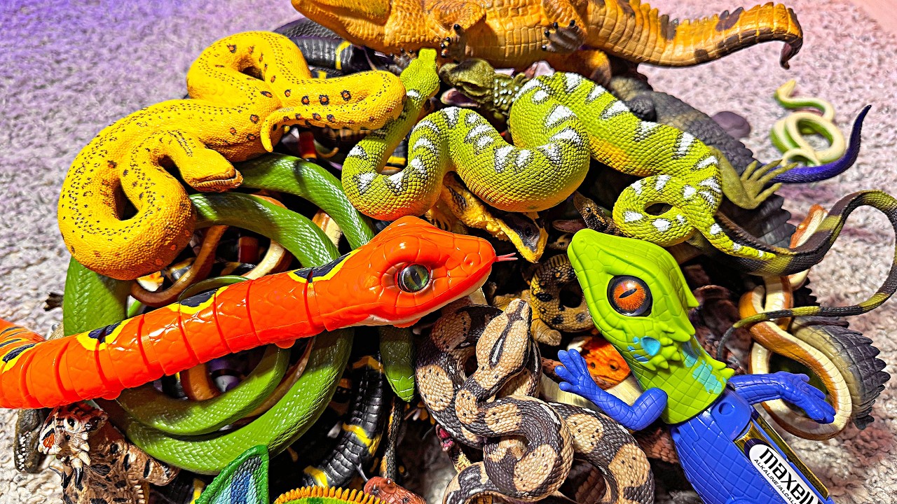 200 Reptiles Toys - Iguana, Cobra, Chameleon, Alligator, Crocodile, Komodo Dragon, Thorny Dragon