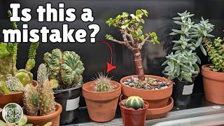 Everyone Told Me NOT to Build an IKEA Cactus Cabinet