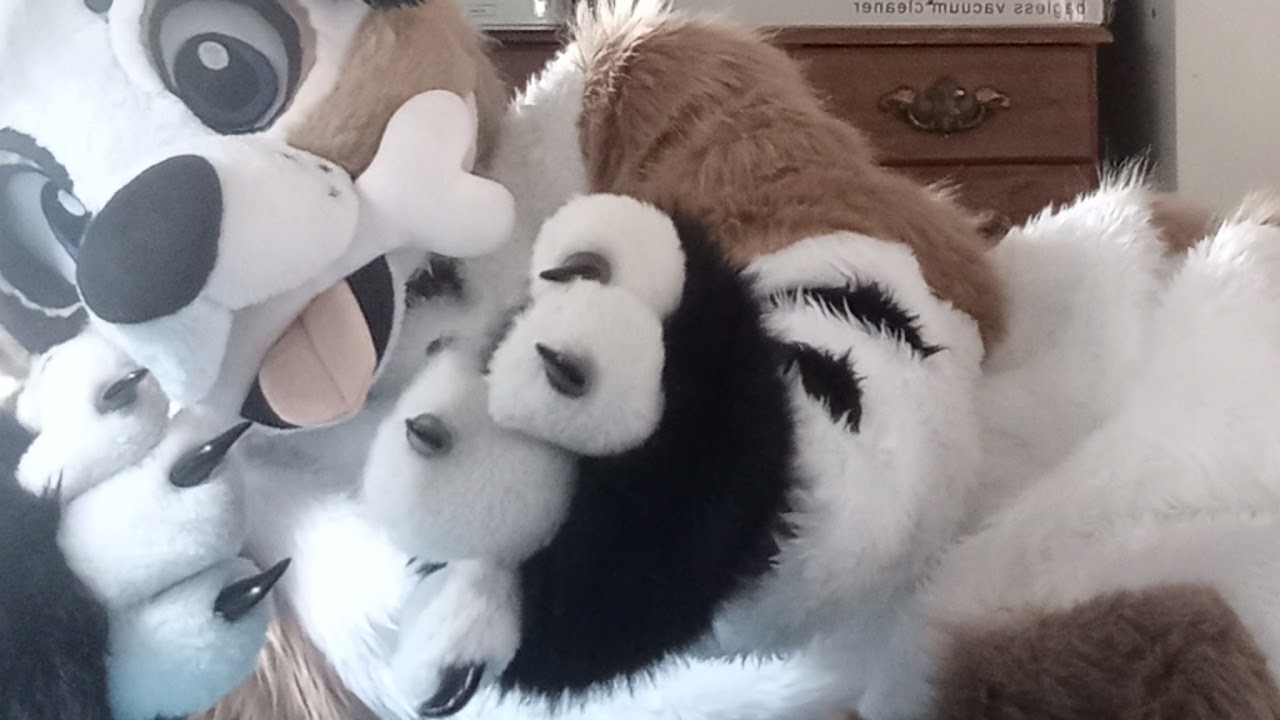 bean boozled vr chat furry gay good boy eat 1 followers and sub 2 bean