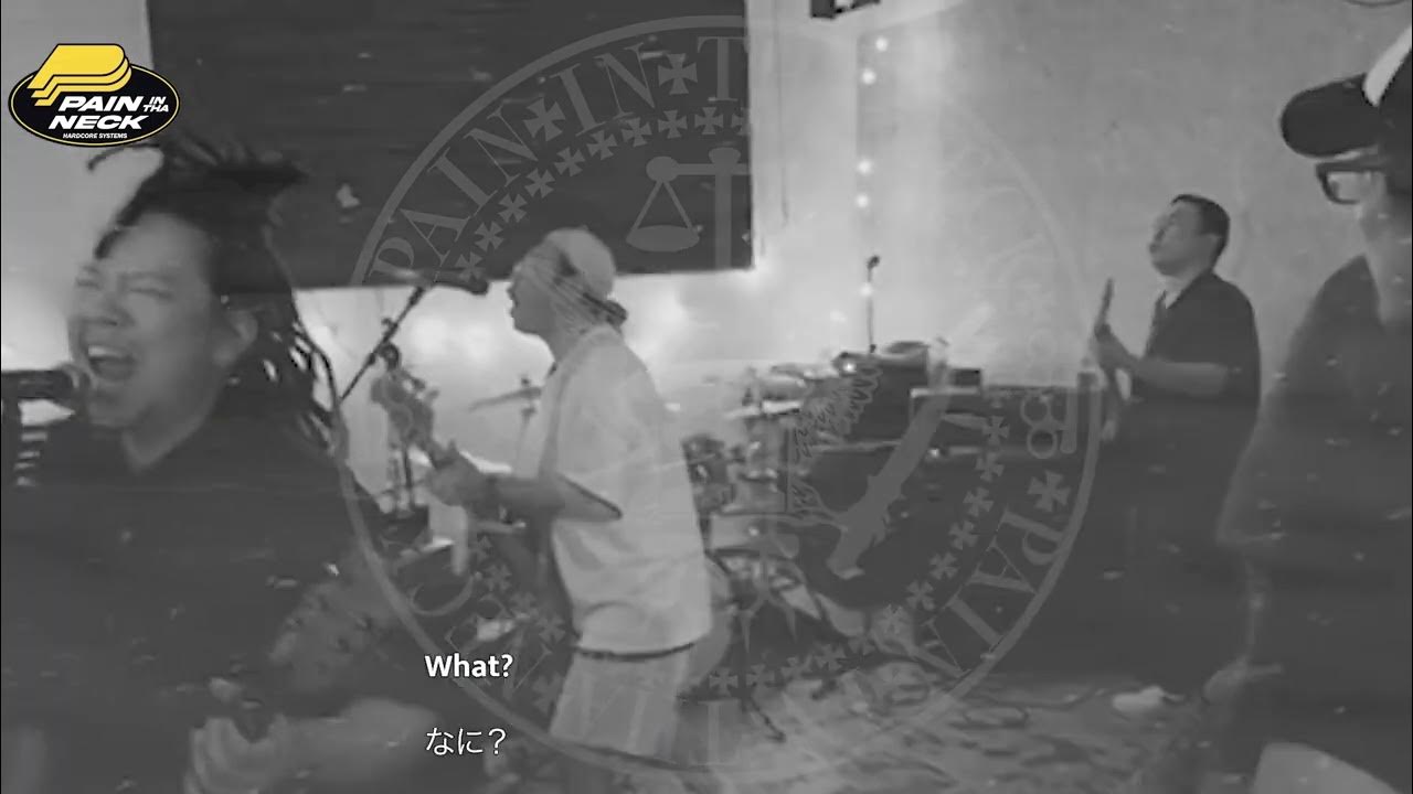 【Low Light, No Bite】 YouTube