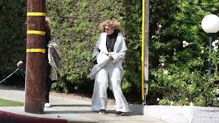 Dyan Cannon 89, Seen Walking Dogs With Friend