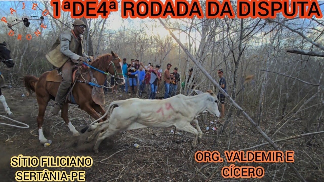 (DRONE)1ªDE4ª DA DISPUTA DO TORNEIO PÉ DE PORTEIRA SÍTIO FILICIANO SERTÂNIA-PE ORG.VALDEMIR E CÍCERO