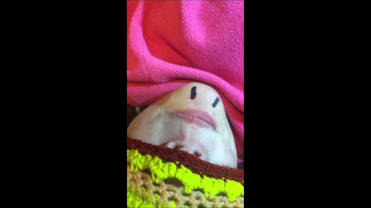 Funny Chin Video YouTube funny-chin-video-youtube