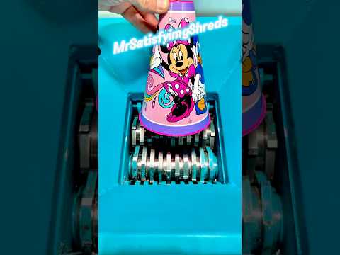 Minnie Mouse Disney Cup Vs Shredder 