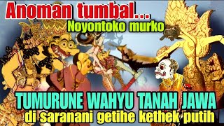Wayang Kulit Ki Seno Nugroho  Lakon Anoman Tumbal