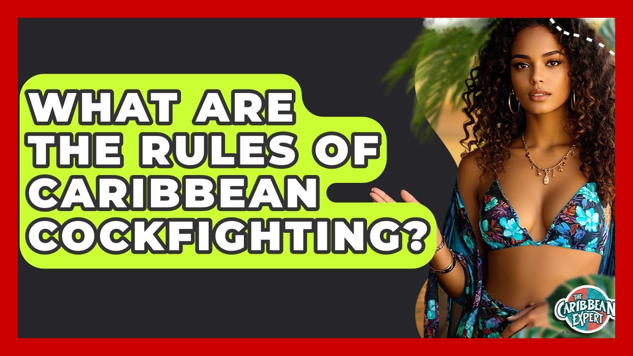 What Are The Rules Of Caribbean Cockfighting? - The Caribbean Expert
