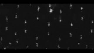 Nimosu - Fresh Static Snow Porter Robinson Cover